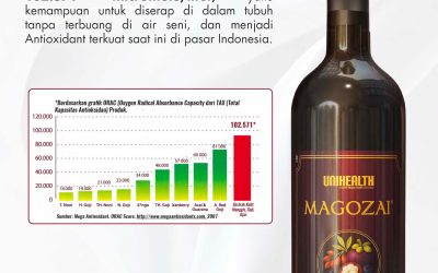 MAGOZAI 750ml Diskon